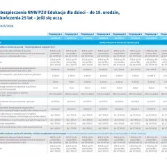 Tabela porównująca propozycje ubezpieczenia NNW PZU dla dzieci i młodzieży.