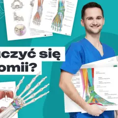 Mężczyzna w kitlu trzyma plansze z anatomia człowieka, kości i mięśni.