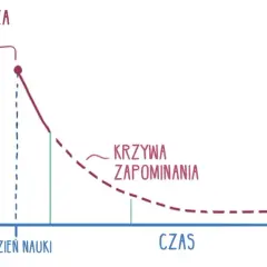 Jak uczy się mózg? Odkryj sekrety efektywnej nauki i pamięci
