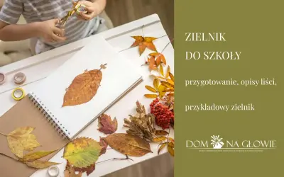 Zielnik szkolny: wybierz rośliny, susz i opisz na ocenę celującą