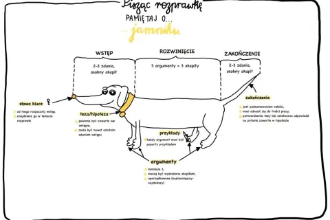 Ilustracja jamnika z podziałem na wstęp, rozwinięcie i zakończenie rozprawki.