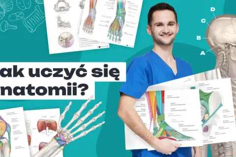 Mężczyzna w kitlu trzyma plansze z anatomia człowieka, kości i mięśni.