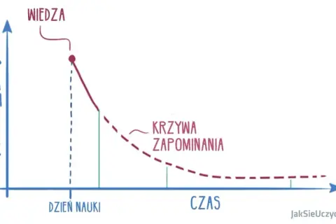 Jak uczy się mózg? Odkryj sekrety efektywnej nauki i pamięci