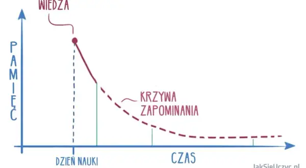 Jak uczy się mózg? Odkryj sekrety efektywnej nauki i pamięci