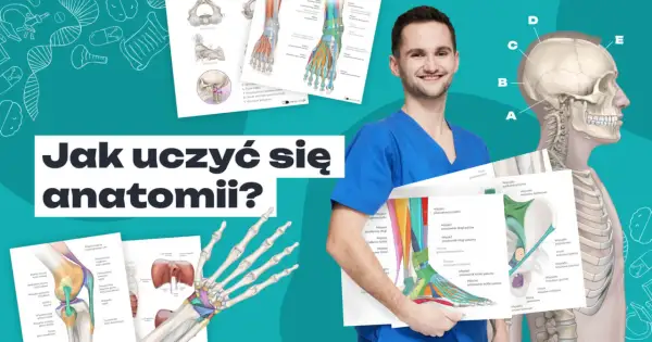 Mężczyzna w kitlu trzyma plansze z anatomia człowieka, kości i mięśni.